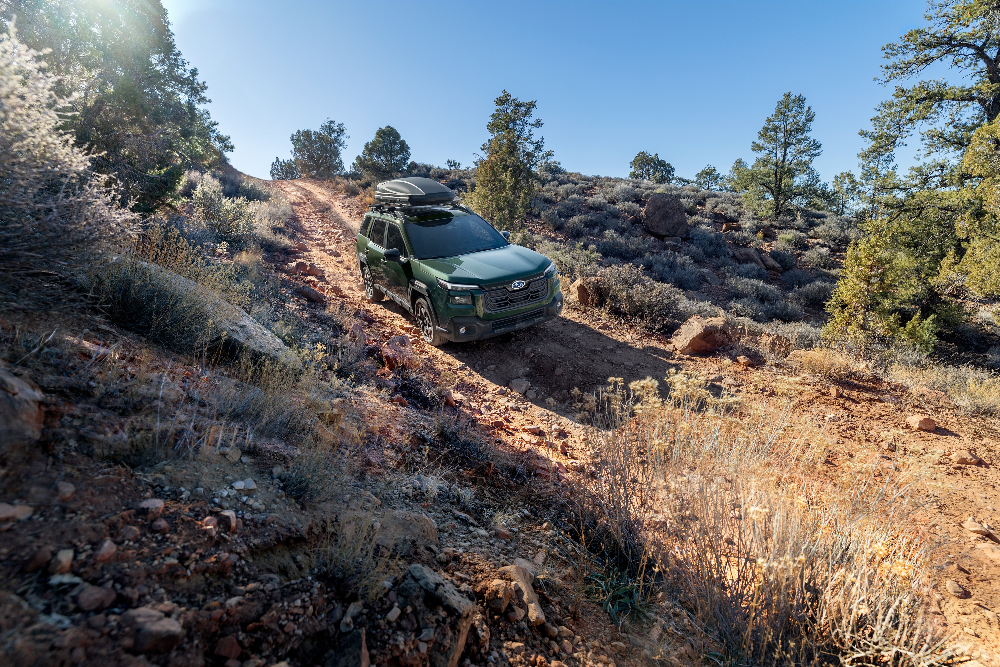 green subaru outback
